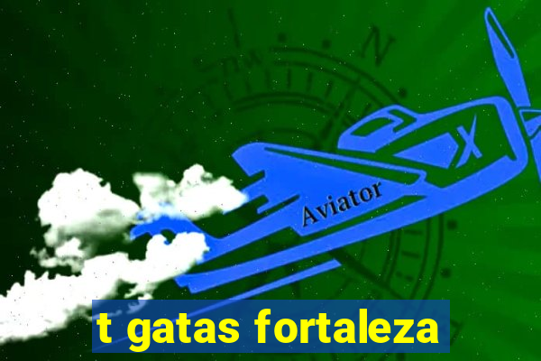 t gatas fortaleza